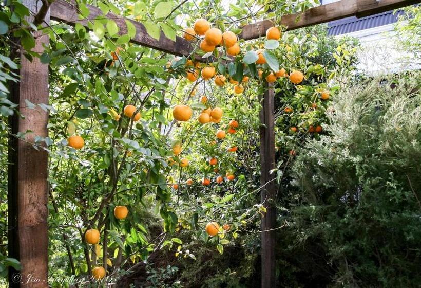 Aarn House B&b Airport Accommodation