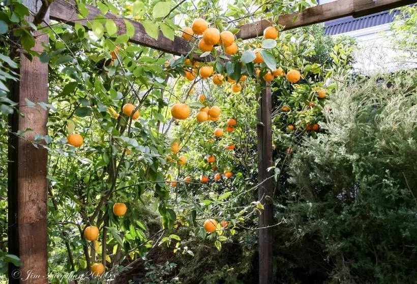 Aarn House B&b Airport Accommodation