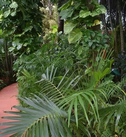 ベッドアンドブレックファースト Oskar's Rain Forest Retreat