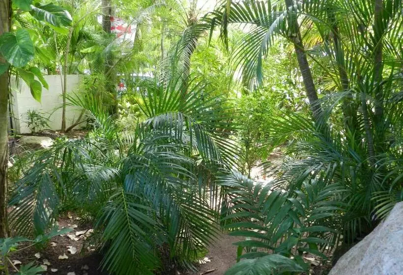 ベッドアンドブレックファースト Oskar's Rain Forest Retreat