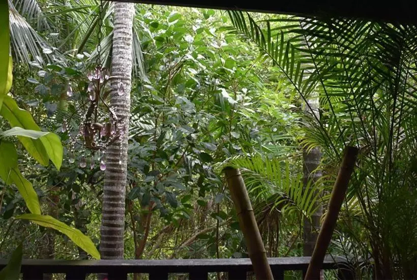 ベッドアンドブレックファースト Oskar's Rain Forest Retreat