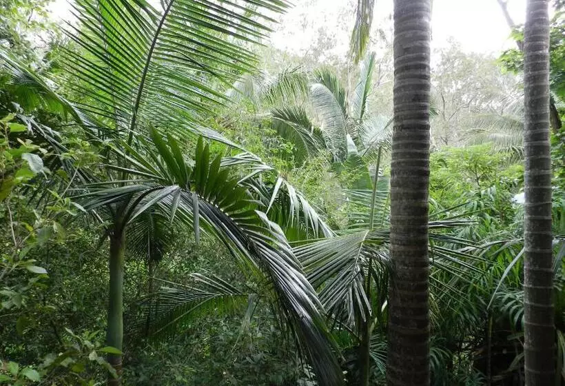ベッドアンドブレックファースト Oskar's Rain Forest Retreat