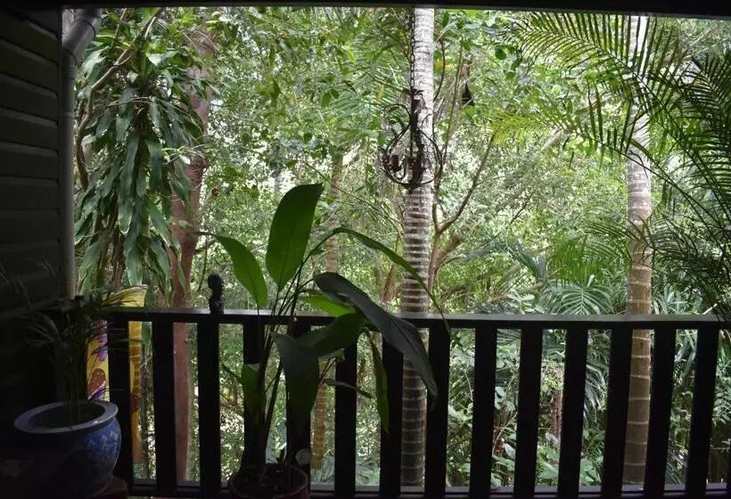 ベッドアンドブレックファースト Oskar's Rain Forest Retreat