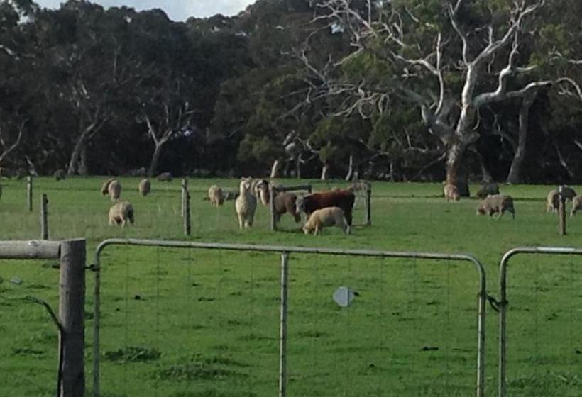 酒店 Breakaway Farmstay