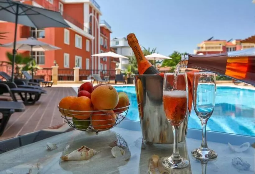 Vip Club Dolphin Coast