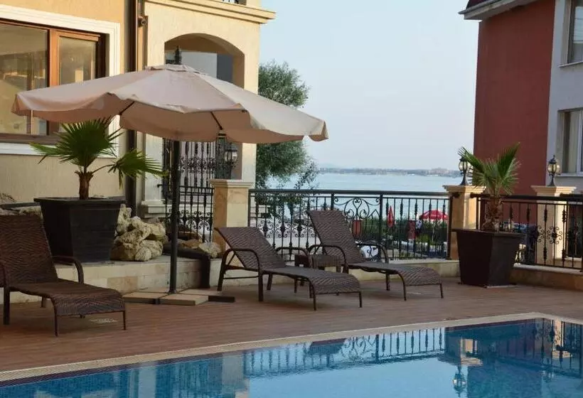 Vip Club Dolphin Coast