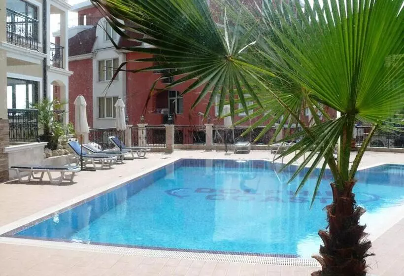 Vip Club Dolphin Coast