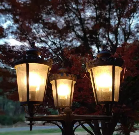 Buffalo Motel And Country Retreat