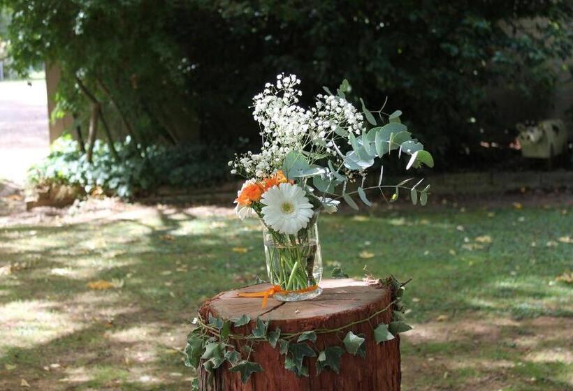 Buffalo Motel And Country Retreat