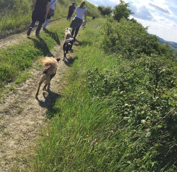 בית מלון כפרי Agriturismo La Chiusola