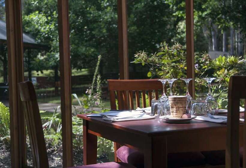 Отель Black Spur Inn