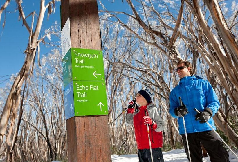 Отель Black Spur Inn