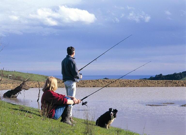 בית מלון כפרי Johanna River Farm & Cottages