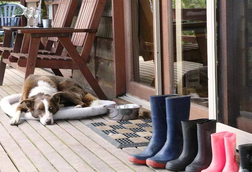 בית מלון כפרי Johanna River Farm & Cottages