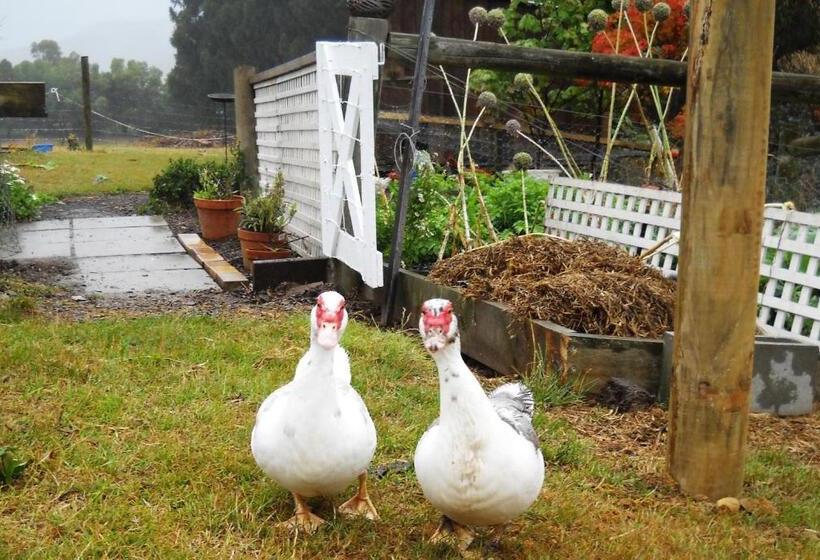 בית מלון כפרי Johanna River Farm & Cottages