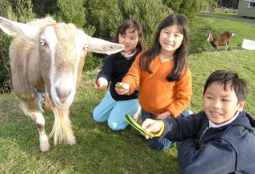 בית מלון כפרי Johanna River Farm & Cottages