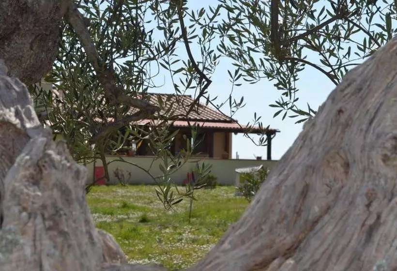 Hotelli Podere Dei Maddii