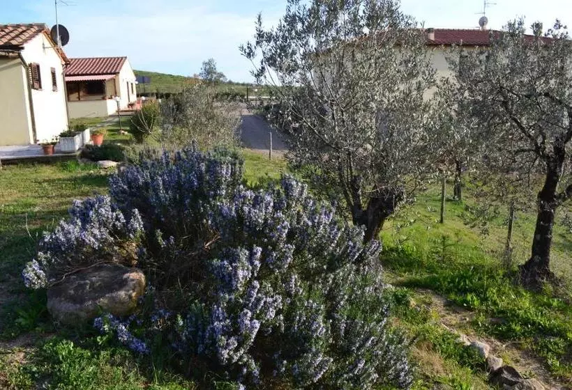 Hotelli Podere Dei Maddii