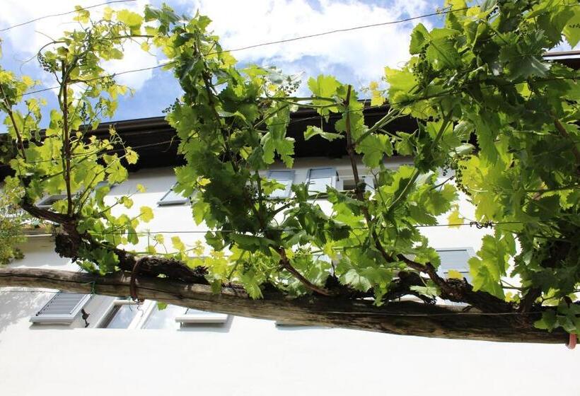 هتل Weingut Pardellerhof