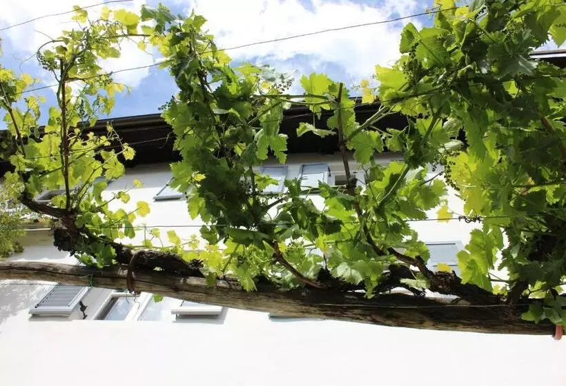 ホテル Weingut Pardellerhof