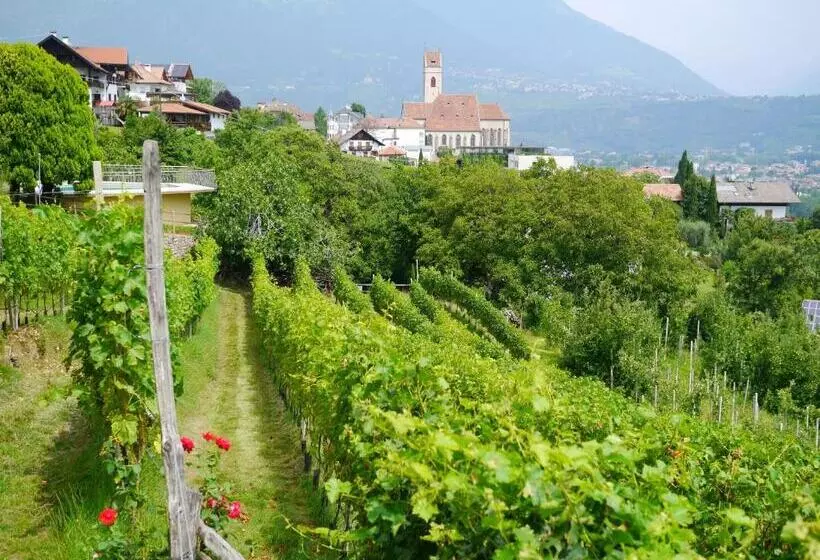 ホテル Weingut Pardellerhof