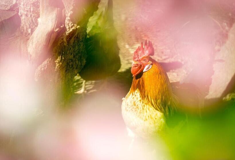 هتل Weingut Pardellerhof