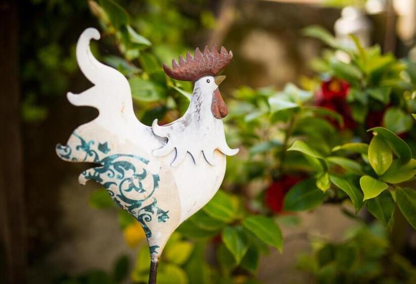 هتل Weingut Pardellerhof