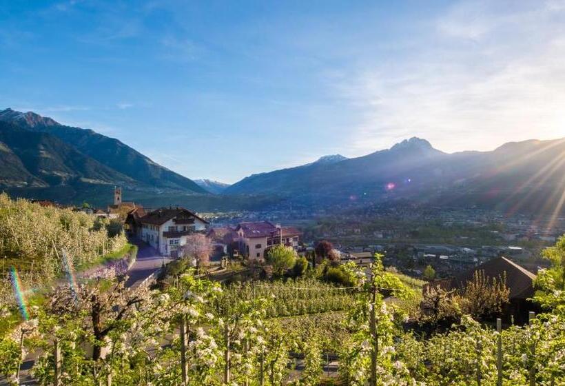 هتل Weingut Pardellerhof