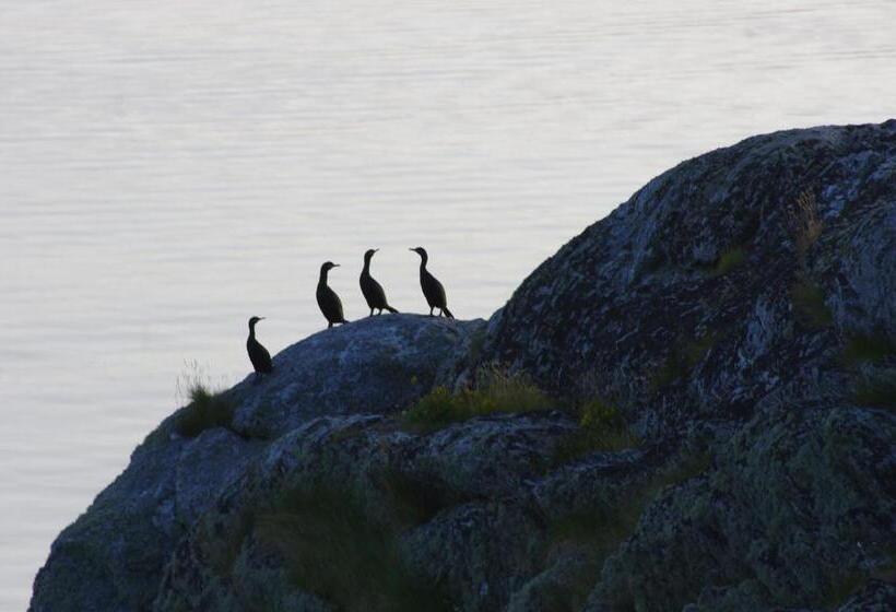 Kaikanten Rorbuer   Røst