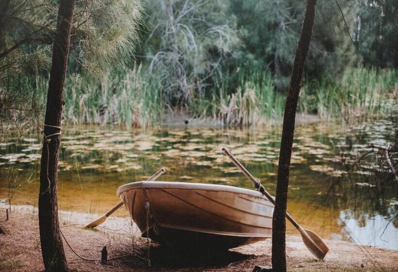 פנסיון Sweetacres Hunter Valley