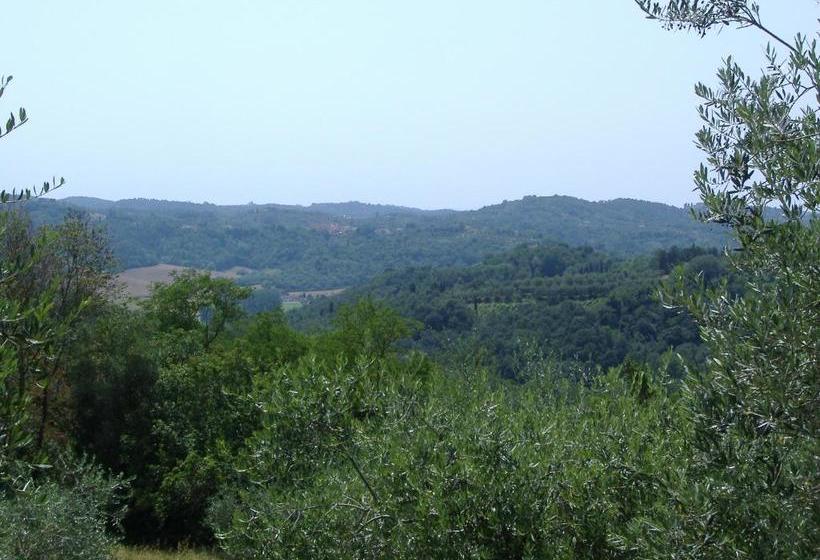 膳宿费 Collebrunacchi B&b