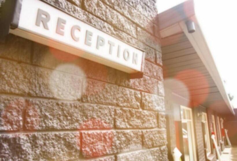 Siesta Central Apartments