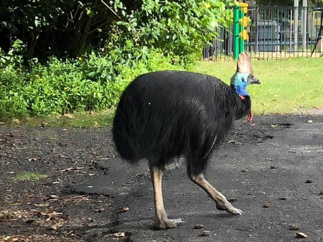 South Pacific Bed & Breakfast