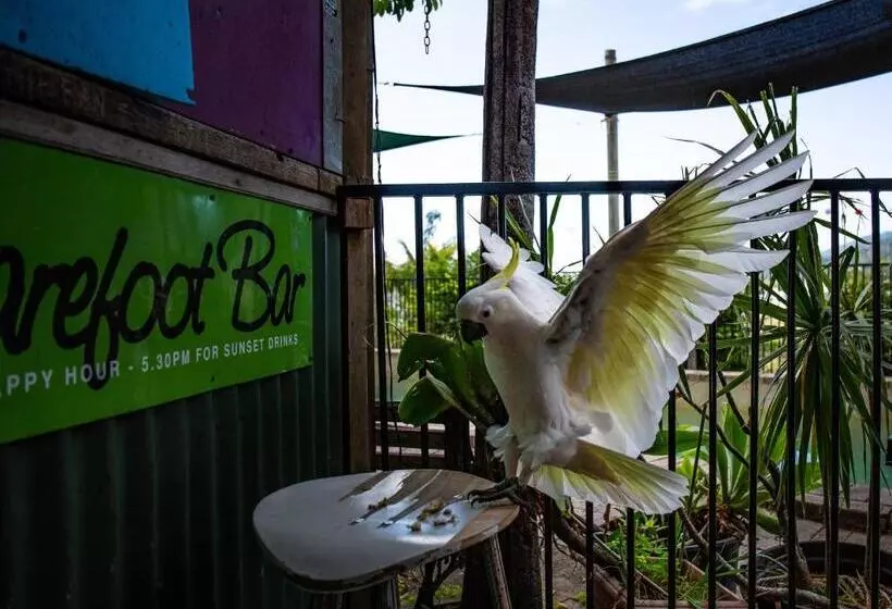 Retkeilymaja Backpackers By The Bay