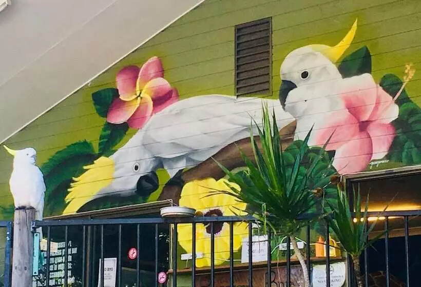 Retkeilymaja Backpackers By The Bay