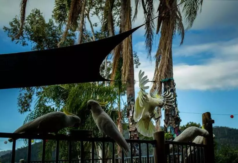 Retkeilymaja Backpackers By The Bay