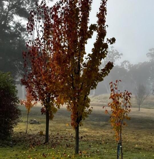 민박 Granite Gardens Cottages & Lake Retreat