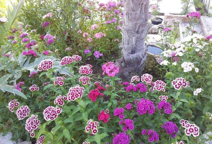 فندق Rural San Pelayo