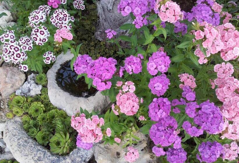 فندق Rural San Pelayo