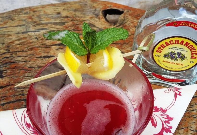 ホテル Strachanovka   Jánska Koliba