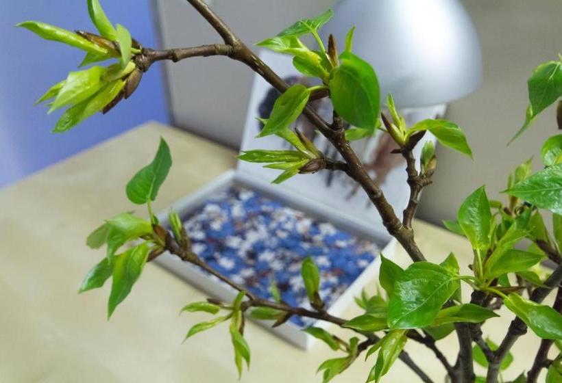 پانسیون Eyjólfsstadir Guesthouse