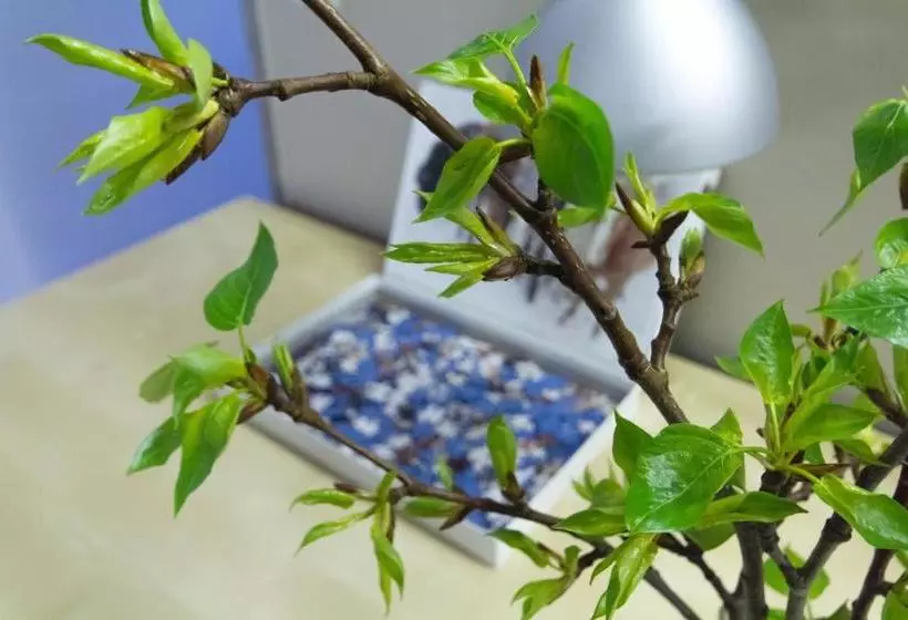 پانسیون Eyjólfsstadir Guesthouse
