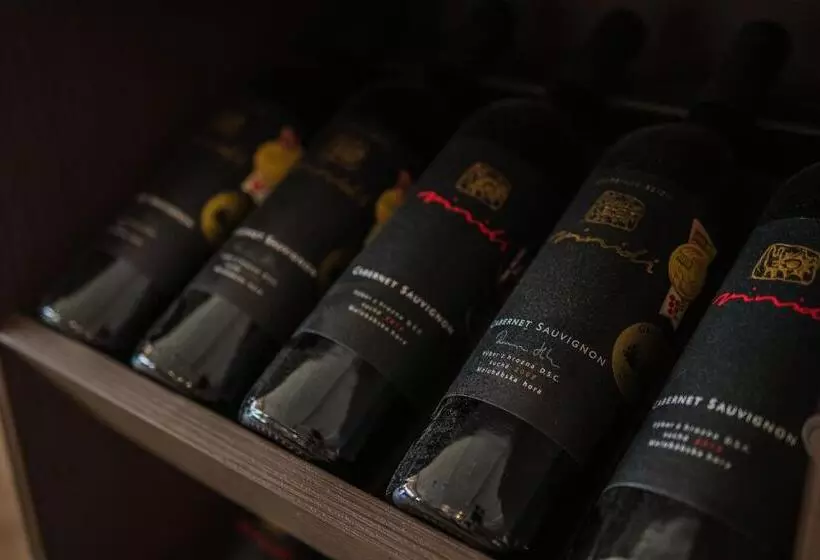 ペンション Penzion Jollien