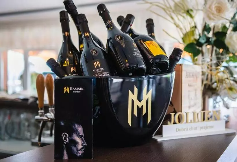 ペンション Penzion Jollien