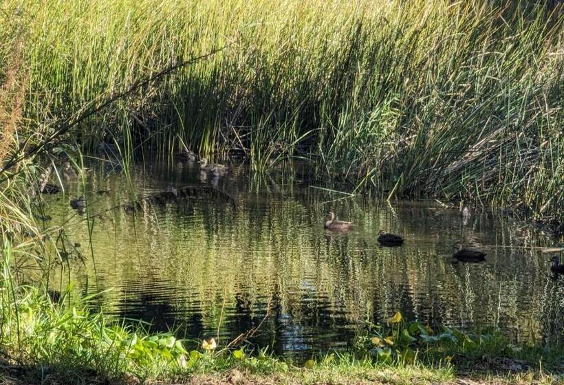 The Oasis At One Mile Beach