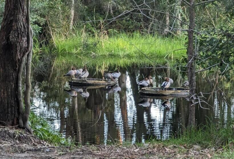 The Oasis At One Mile Beach