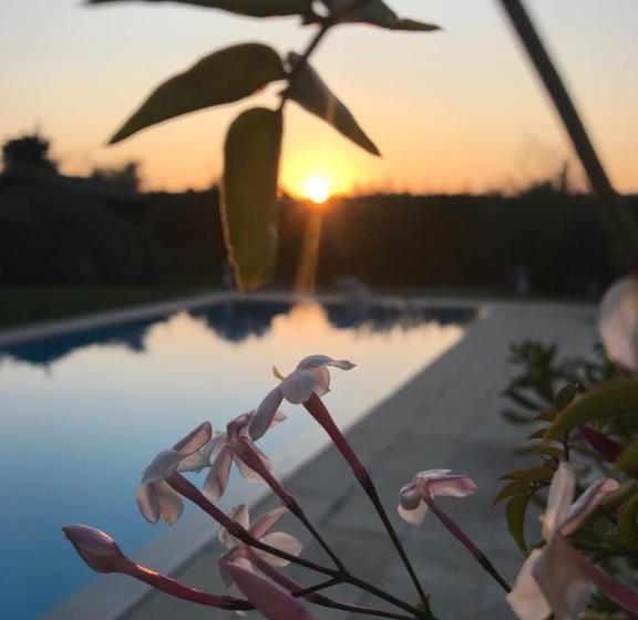 Bed and Breakfast Le Mas De La Source