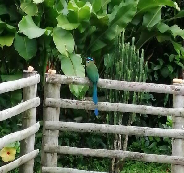 Casa Campesina Hostel