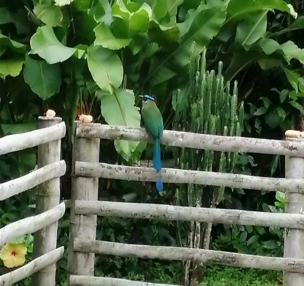 Casa Campesina Hostel