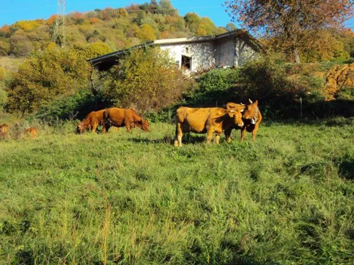 Hotelli Agriturismo La Part